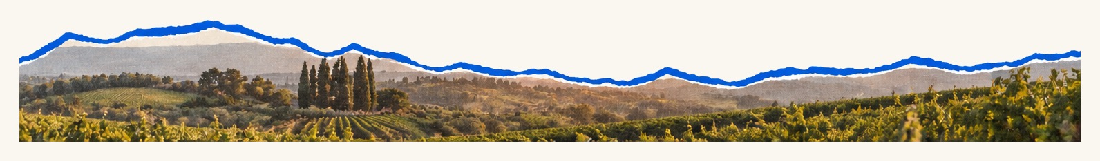 Karnas Vineyards landscape